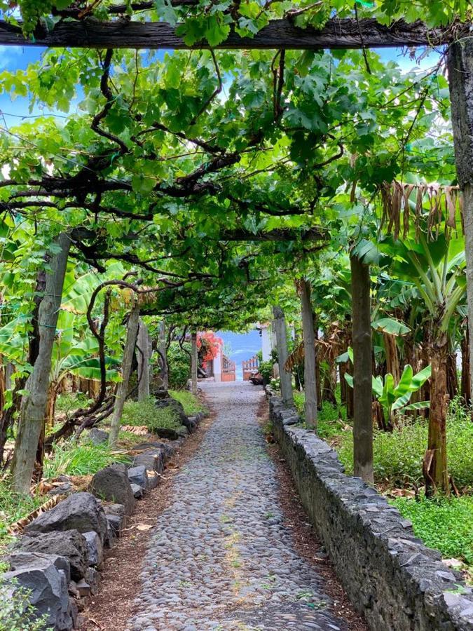Faja Dos Padres Villa Ribeira Brava Eksteriør bilde