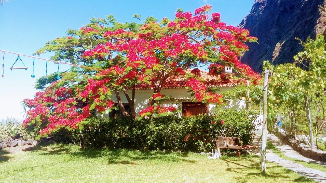 Faja Dos Padres Villa Ribeira Brava Eksteriør bilde