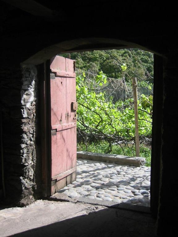 Faja Dos Padres Villa Ribeira Brava Eksteriør bilde