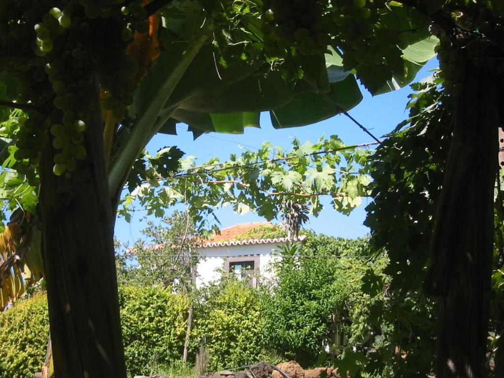 Faja Dos Padres Villa Ribeira Brava Eksteriør bilde