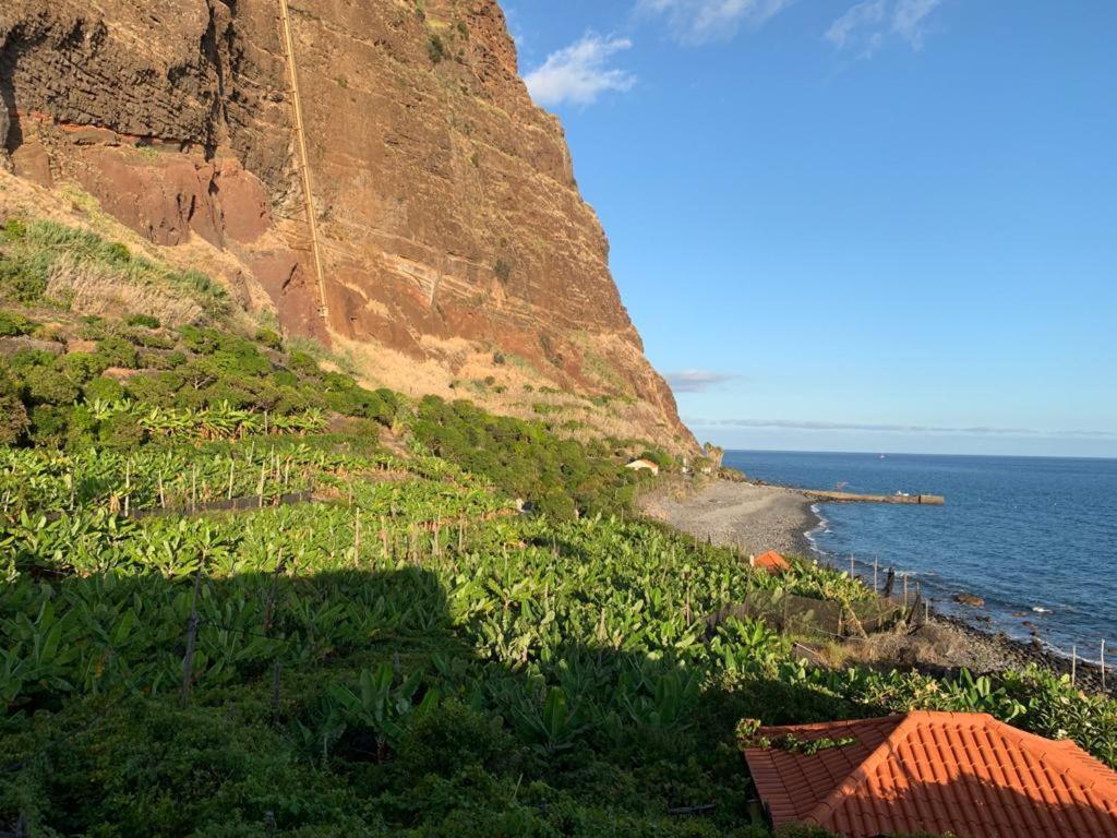 Faja Dos Padres Villa Ribeira Brava Eksteriør bilde